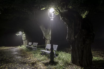 A serene park scene at night featuring benches illuminated by a lamp post, surrounded by trees and fallen leaves, creating a tranquil atmosphere for an HD desktop wallpaper.