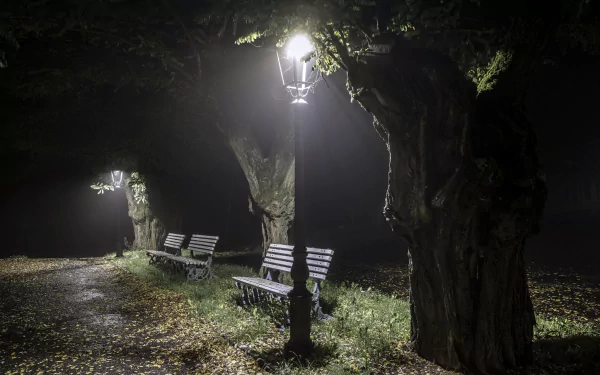 A serene park scene at night featuring benches illuminated by a lamp post, surrounded by trees and fallen leaves, creating a tranquil atmosphere for an HD desktop wallpaper.