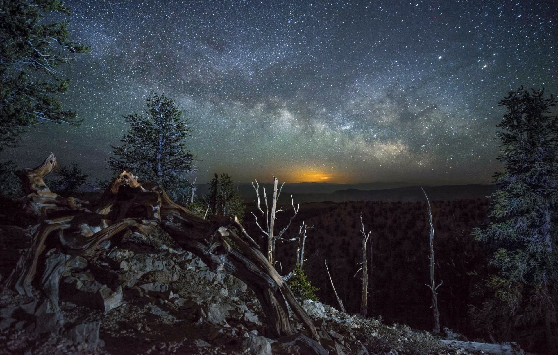 HD desktop wallpaper showcasing a winter night landscape with trees and mountains beneath a clear, starry sky.