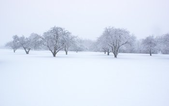 Winter Wallpaper and Background Image | 1280x800 | ID:49256 - Wallpaper ...