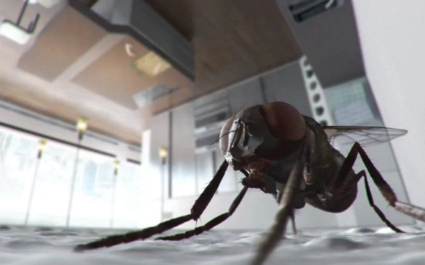 Animal fly HD Desktop Wallpaper | Background Image