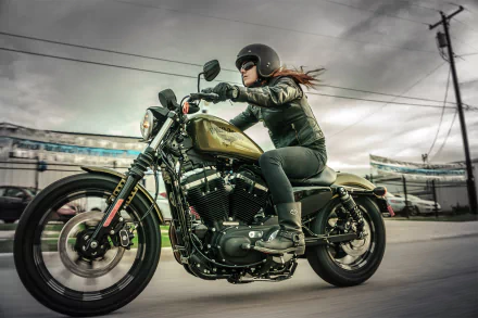  2017 Harley-Davidson Iron 883