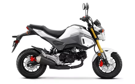  2017 Honda Grom