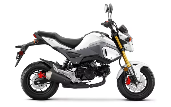  2017 Honda Grom