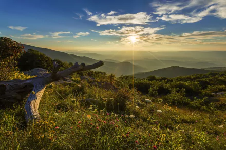  Timber Hollow Overlook, Shenandoah National Park, Virginia, USA