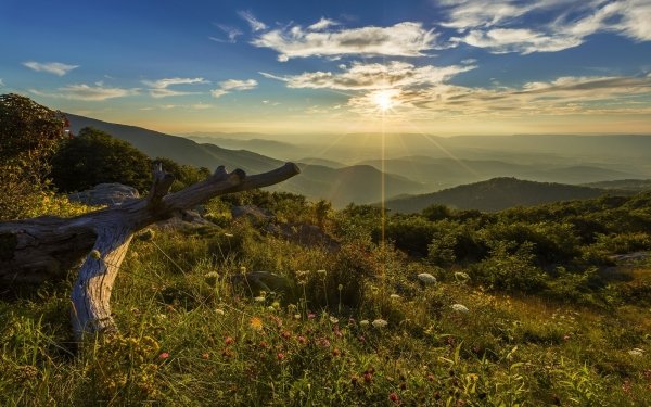 Earth Landscape Sunset Mountain Scenic Nature National Park USA Virginia Dusk Twilight HD Wallpaper | Background Image