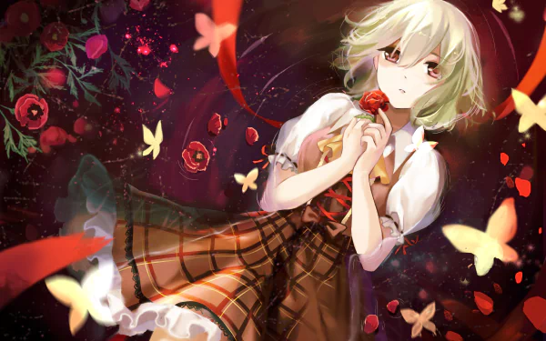Yuuka Kazami Anime Touhou HD Desktop Wallpaper | Background Image