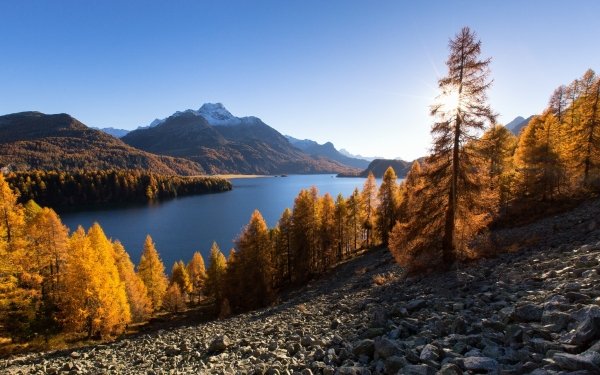 Nature Lake Lakes Landscape Tree Fall Stone HD Wallpaper | Background Image