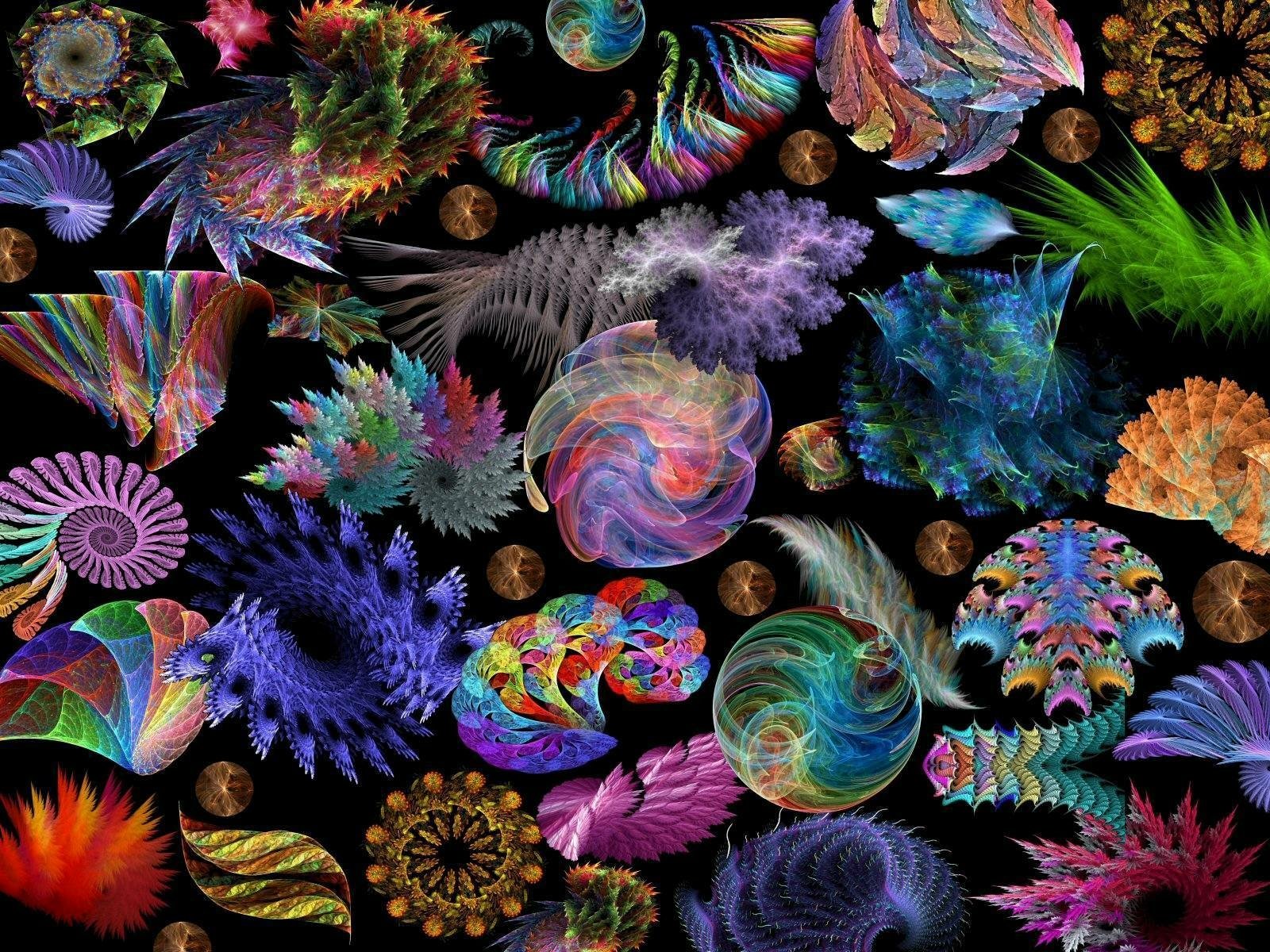 Download Colorful Colors Shell Abstract Fractal Wallpaper by Thelma1