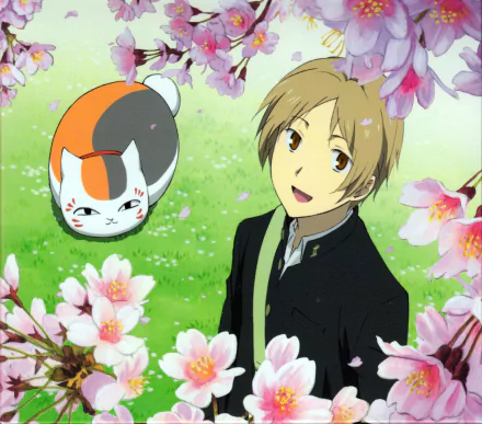 HD PC desktop wallpaper featuring Takashi Natsume and Madara from the anime Natsume Yuujinchou (Natsume's Book of Friends) surrounded by blooming cherry blossoms.