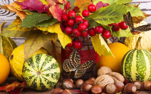 butterfly nut leaf berry gourd artistic fall HD Desktop Wallpaper | Background Image