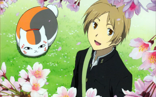 HD PC desktop wallpaper featuring Takashi Natsume and Madara from the anime Natsume Yuujinchou (Natsume's Book of Friends) surrounded by blooming cherry blossoms.