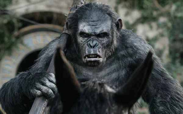 movie Dawn of the Planet of the Apes HD Desktop Wallpaper | Background Image