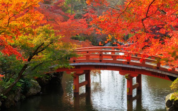 Man Made Japanese Garden Bridge Fall HD Wallpaper | Background Image