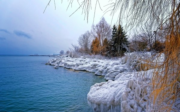 Earth Winter Lake Tree Snow HD Wallpaper | Background Image