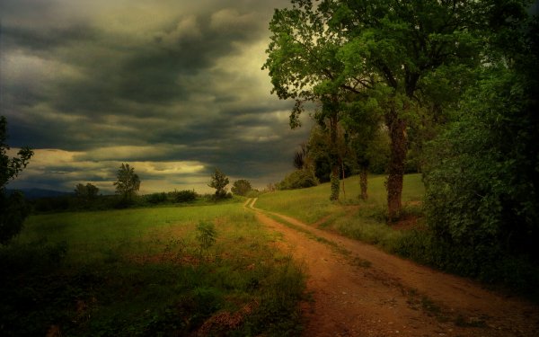 Man Made Road Nature Path Country Cloud Sunset Dirt Road Tree HD Wallpaper | Background Image