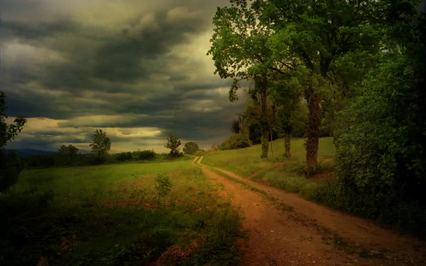 A serene dirt road winds through lush greenery under a dramatic sunset sky, framed by trees and clouds, capturing the essence of nature and country life.
