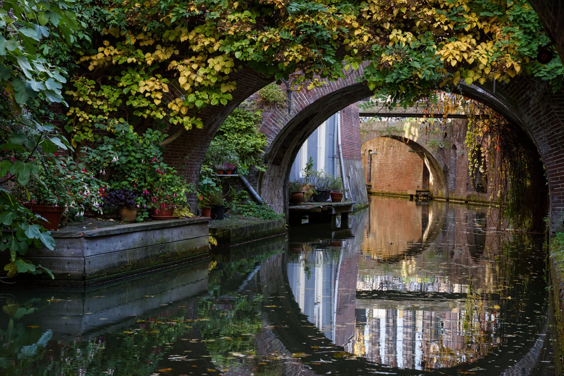 Fuschia Canal Reflection - 4K Ultra HD Wallpaper