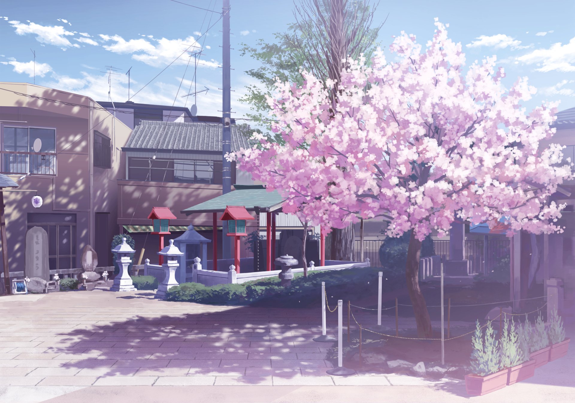Anime original HD PC desktop wallpaper: sunlit street with a large pink cherry blossom tree beside a small red shrine, residential buildings, soft shadows and a clear blue sky.