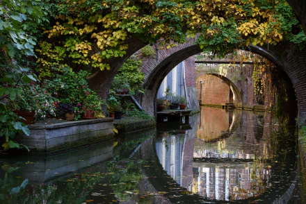 A serene canal scene with potted fuchsia plants, arching brick bridges, and lush greenery reflected in the water. The HD desktop wallpaper captures a tranquil blend of nature and architecture.