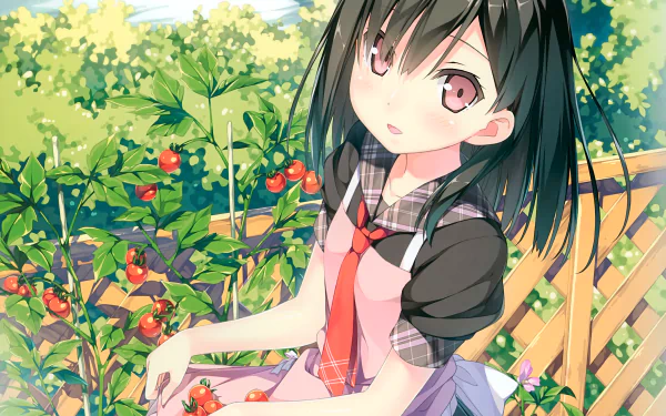 Anime HD wallpaper from 5 Nenme no Houkago, featuring an original character in a garden setting, picking tomatoes, with a scenic background.