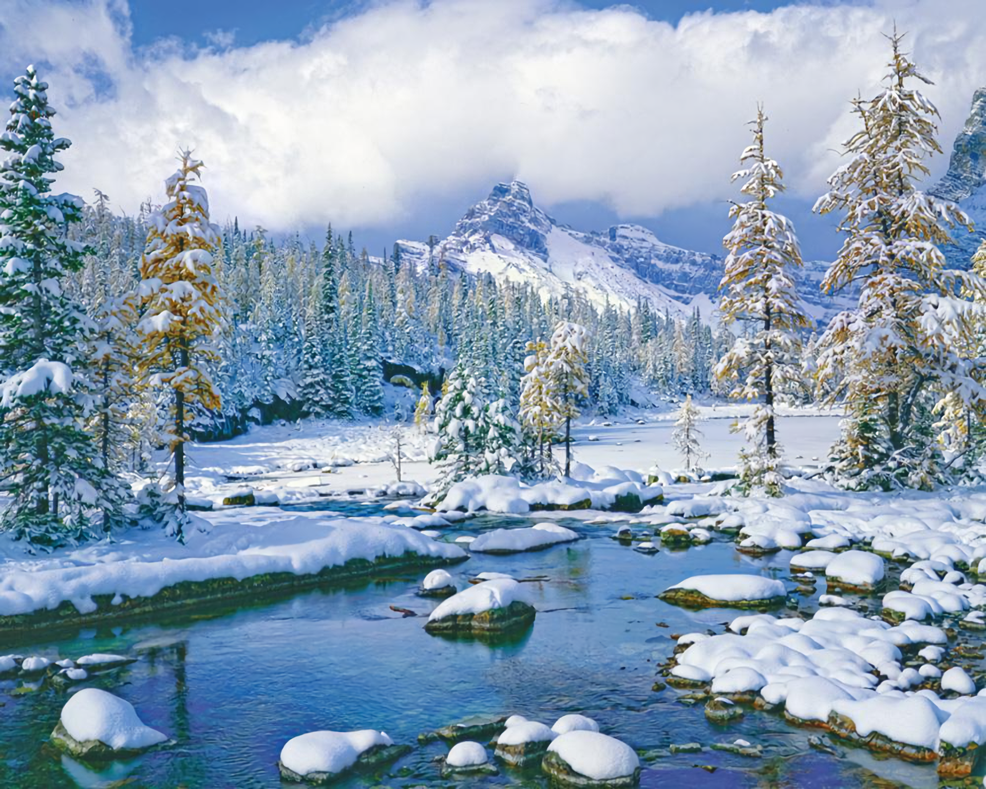 Winter Landscape Hd Wallpaper Background Image 1920x1536