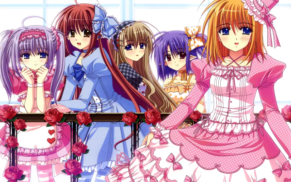 Primula (Shuffle!) Ruri Matsuri Lisianthus (Shuffle!) Kaede Fuyou Daisy (Shuffle!) Anime Shuffle! HD Desktop Wallpaper | Background Image