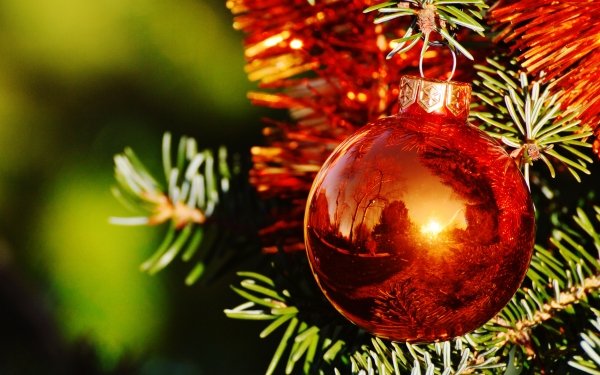 Holiday Christmas Christmas Ornaments Reflection HD Wallpaper | Background Image