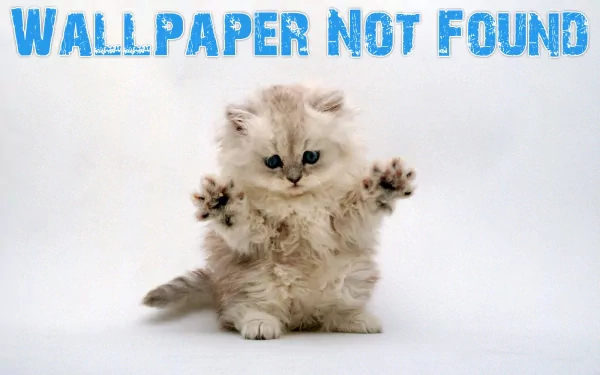 Fluffy kitten with outstretched paws on a humorous HD desktop wallpaper with the text WALLPAPER NOT FOUND.