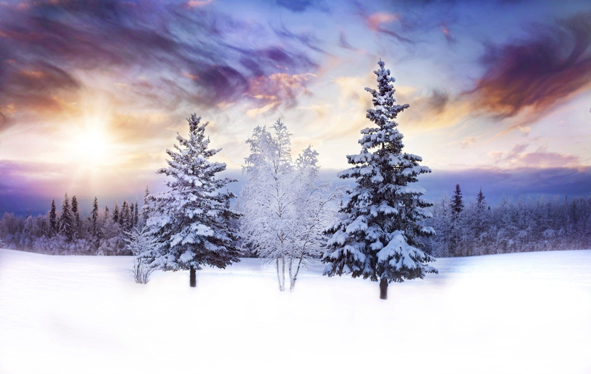 Download Snow Tree Nature Winter HD Wallpaper | 2048x1296 | Wallpaper Abyss