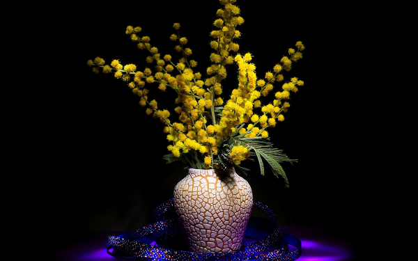 Photography Still Life Vase Flower Ribbon Light Yellow Flower HD Wallpaper | Background Image