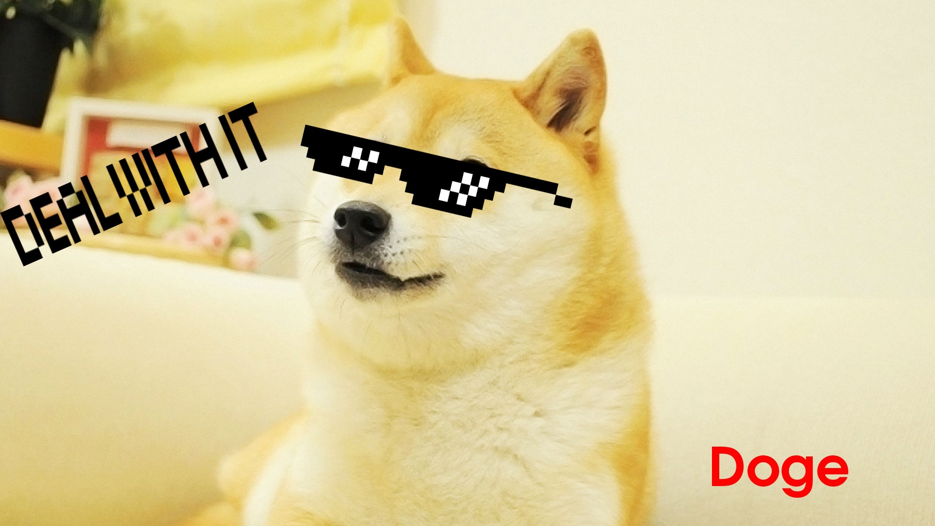 Doge Live Wallpaper Infoupdate