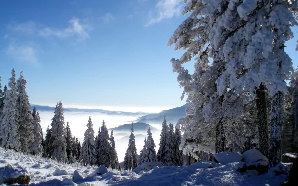 A scenic winter landscape featuring snow-covered trees, a snowy mountain cliff, and a clear blue sky with some clouds, captured in HD for a desktop wallpaper.