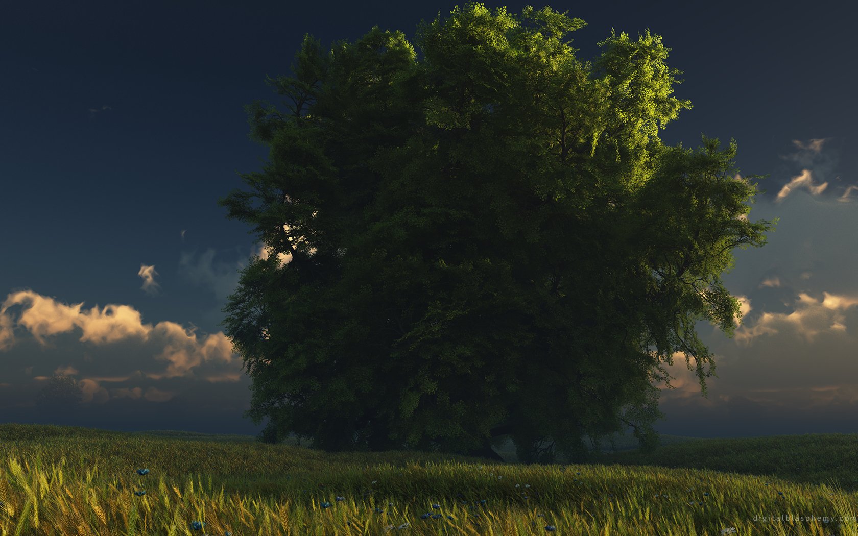 Download Nature Tree Wallpaper