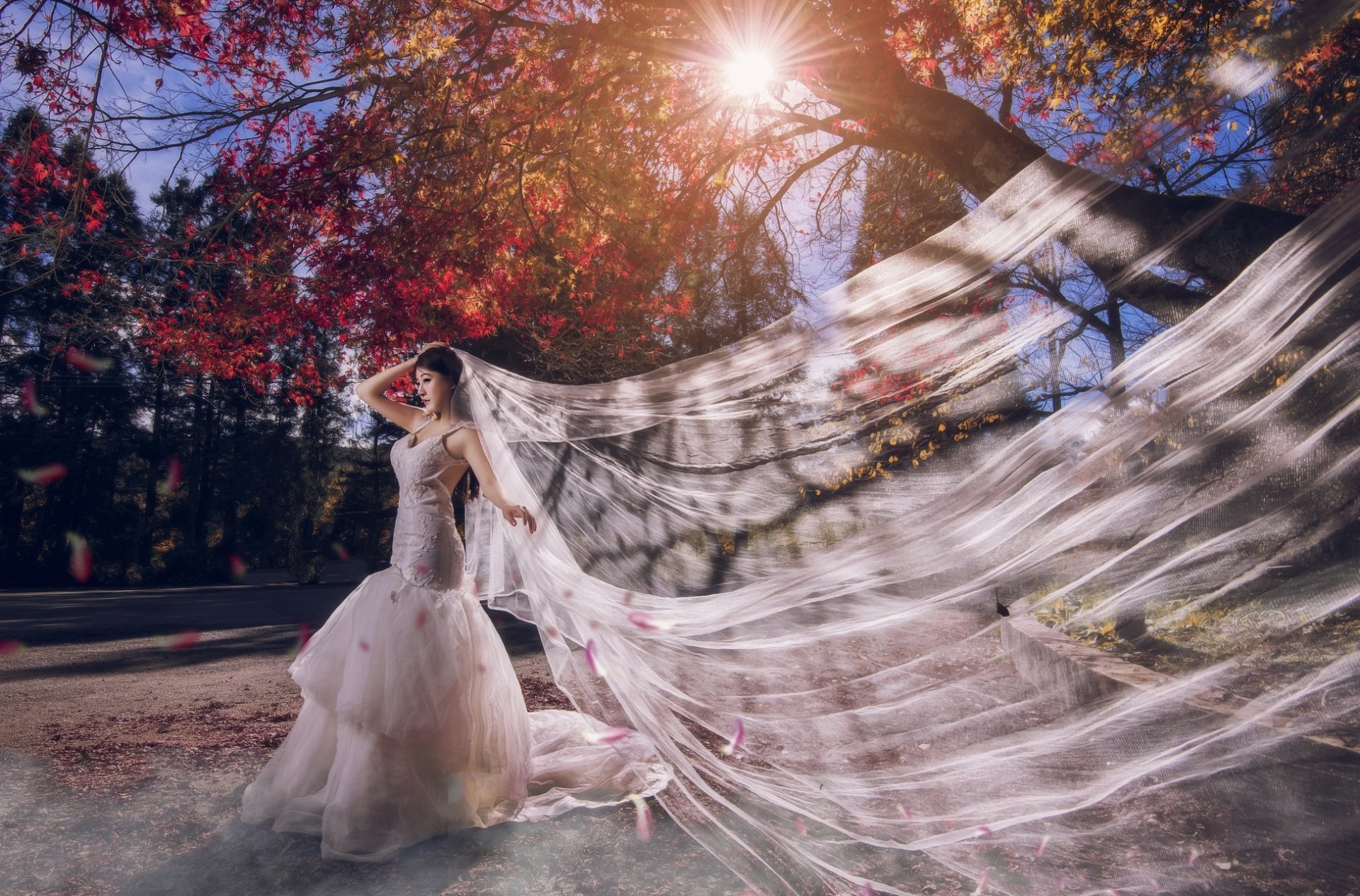 A bride in a white wedding dress stands under autumn trees with vibrant fall leaves, sunlight filtering through, her veil flowing gracefully in the breeze.