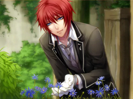 Will (Will o' Wisp) Anime Will o' Wisp HD Desktop Wallpaper | Background Image