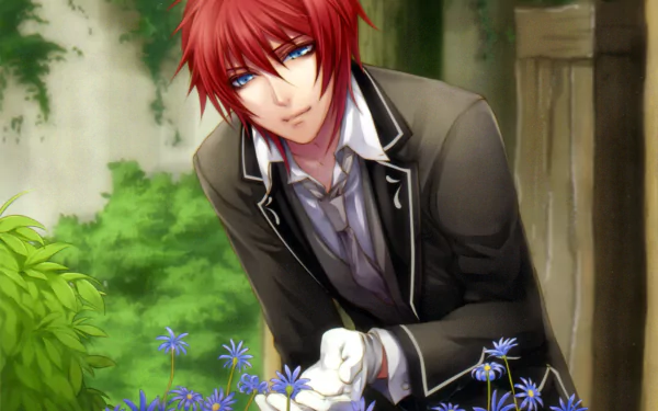 Will (Will o' Wisp) Anime Will o' Wisp HD Desktop Wallpaper | Background Image