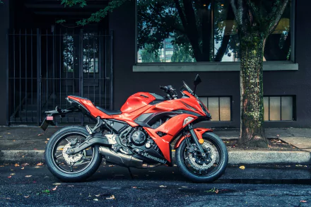 HD desktop wallpaper featuring a vibrant, red Kawasaki Ninja motorcycle parked on a quiet street, with trees and buildings in the background.
