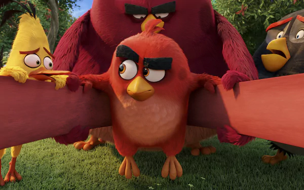 HD desktop wallpaper featuring characters from The Angry Birds Movie, showcasing Red, Chuck, Bomb, and Terence in a vibrant outdoor setting.