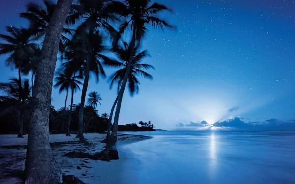 A serene tropical beach at dusk featuring palm trees, a calm ocean, and a starry sky on the horizon. HD desktop wallpaper and background.