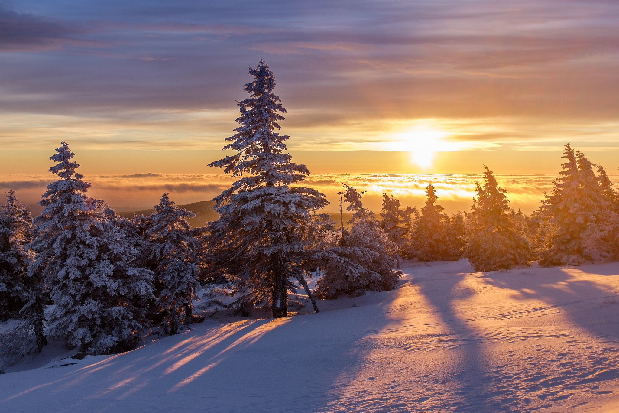 Download Cloud Sunrise Tree Snow Nature Winter HD Wallpaper