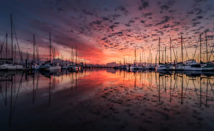 An HD desktop wallpaper showing a harbor filled with yachts at sunrise, with stunning reflections of the sky and clouds on the calm water.