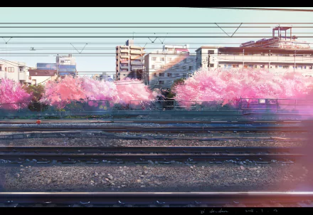 HD desktop wallpaper featuring a vibrant anime scene of cherry blossoms (sakura) in full bloom during spring, set against urban buildings and railroad tracks, exuding a tranquil, scenic atmosphere.