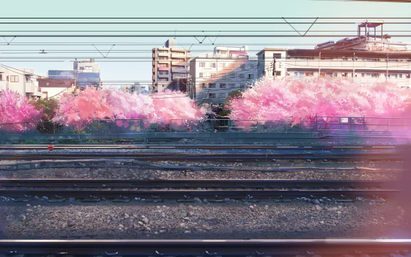 HD desktop wallpaper featuring a vibrant anime scene of cherry blossoms (sakura) in full bloom during spring, set against urban buildings and railroad tracks, exuding a tranquil, scenic atmosphere.
