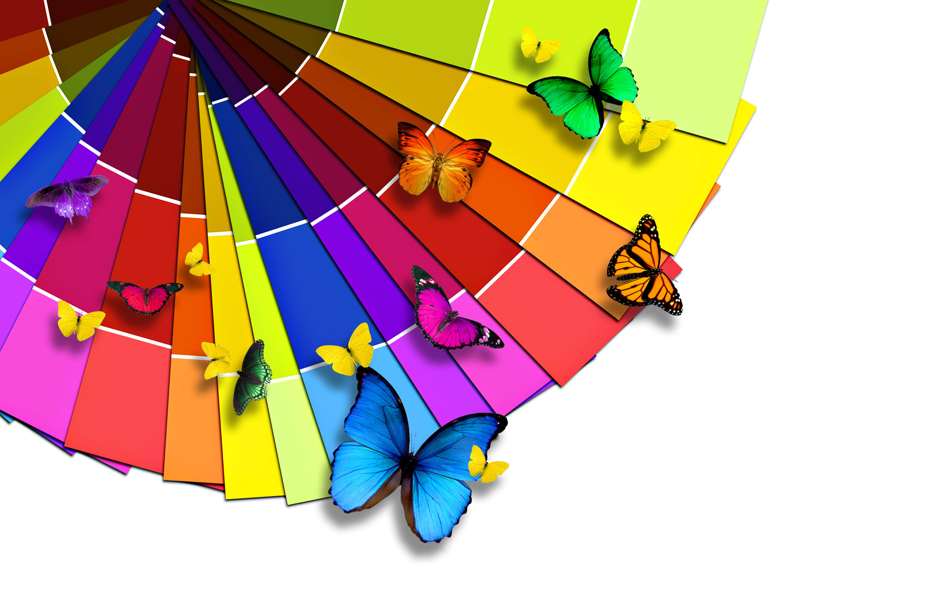 Colorful rainbow HD desktop wallpaper
