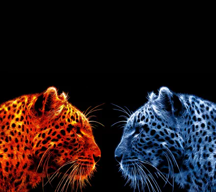  Lepard fractal