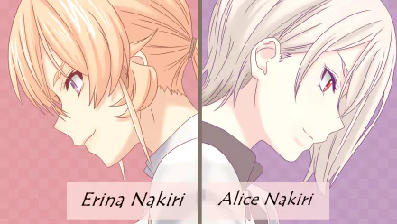 HD PC wallpaper of Alice Nakiri and Erina Nakiri from the anime Food Wars: Shokugeki no Soma, side-by-side profile portraits divided down the center.