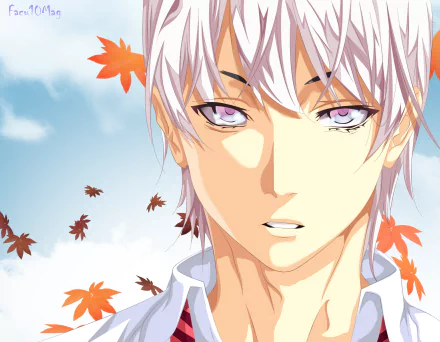 Eishi Tsukasa Anime Food Wars: Shokugeki no Soma HD Desktop Wallpaper | Background Image