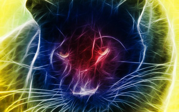 Animal Artistic Big Cat Black Panther HD Wallpaper | Background Image