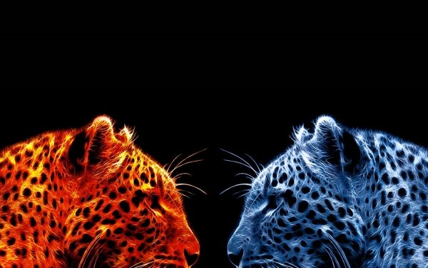 Animal Artistic Leopard Big Cat HD Wallpaper | Background Image